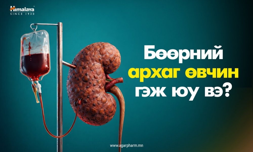 Бөөрний архаг өвчин гэж юу вэ?