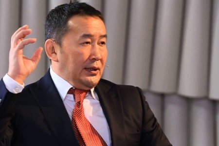 Ерөнхийлөгч хятад иргэдийг албадан гаргах шийдвэр гаргаагүй гэв