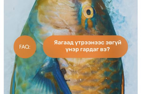 Үтрээний үнэр хэвийн зүйл үү?