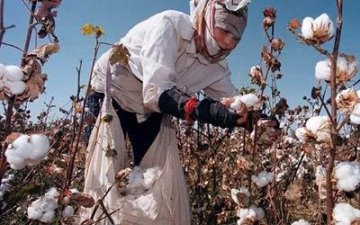 АНУ БНХАУ-ын Шинжаан Уйгурын өөртөө засах орны хөвөн даавуун бүтээгдэхүүнд хориг тавилаа