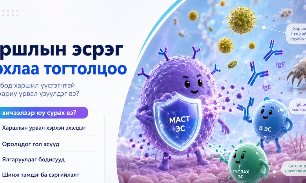 Харшлыг хялбараар тайлбарлах нь