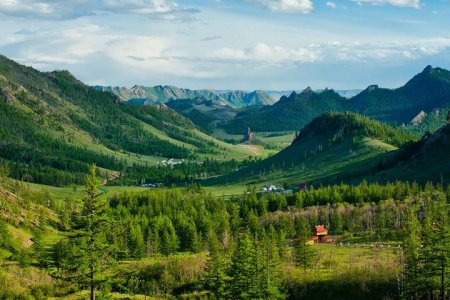 Ой хээрийн түймрээс урьдчилан сэргийлэх арга хэмжээг зохион байгуулж байна