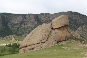 Khustai & Terelj national park