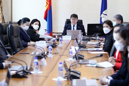 Хашаандаа мод тарих, ногоон байгууламж байгуулах иргэдийн саналыг дэмжинэ