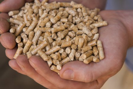 What is a Pellet?