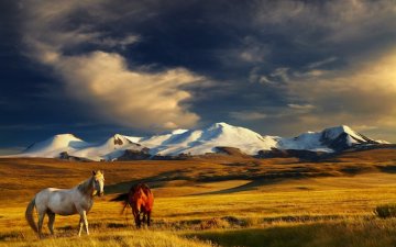 Mongolia travel advice
