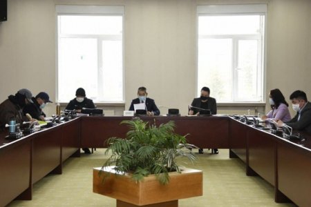 УИХ дахь МАН, АН-ын бүлгийн гишүүдийн зөвшилцлийн ажлын хэсэг байгуулагдаж, ажилдаа орлоо