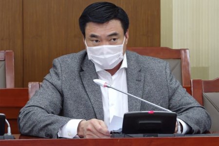 УОК: Халдвар тархсан улсад зорчсон, дайран өнгөрсөн гадаадын иргэнийг Монгол Улс хүлээн авахгүй
