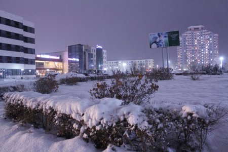 ЯЛИМГҮЙ ЦАС ОРЖ, ЦАСАН ШУУРГА ШУУРНА