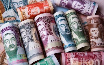 Иргэд төгрөгийн хадгаламжаа валютын хадгаламж руу шилжүүлсээр байна