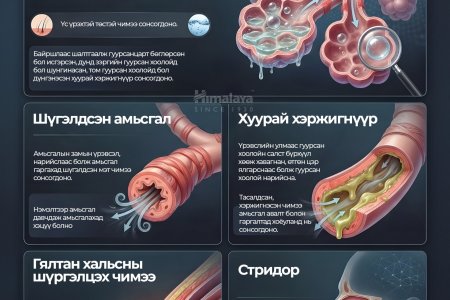 Уушгины эмгэг амьсгалууд 