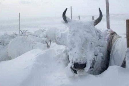 Өчигдрийн цасан шуурганаар 42 иргэн төөрч, сураггүй болсон дуудлага, мэдээлэл бүртгэгджээ