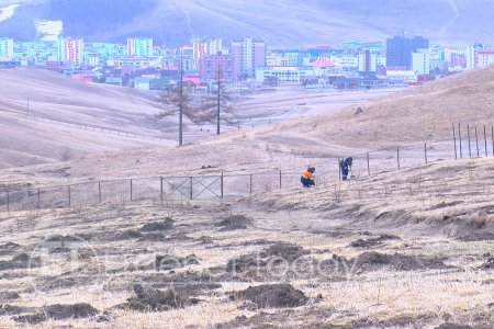 Энэ хавар Баян-Өндөр уулын энгэрт 500 мод нэмж тарина