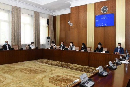 Кино урлагийг дэмжих тухай хуулийн төслийн анхны хэлэлцүүлгийг хийв