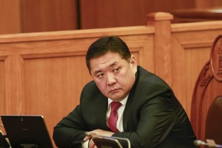 М.Энхболд: Над руу ухасхийсэн хүний гарт хутга байгаагүй. Харин хамгаалалтын албаныхан хутга хураасан гэсэн 