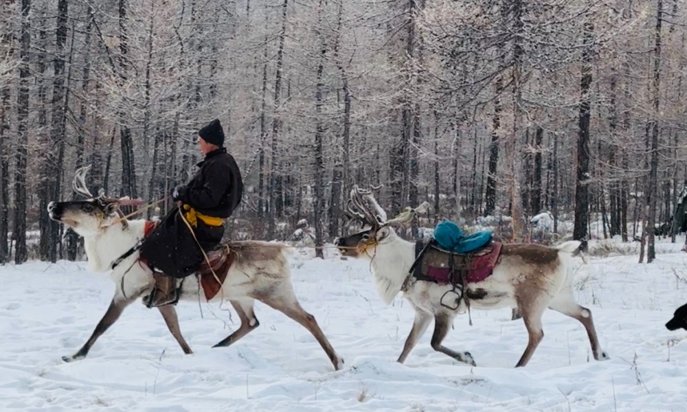 Winter Wonderland/ Einen Besuch zu Rentier Nomaden