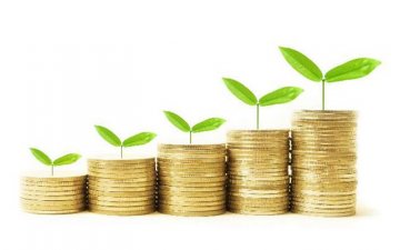 Гадаад хөрөнгө оруулалт нэмэгдэх нь эдийн засгийн тогтвортой байдалд нөлөөлдөг 