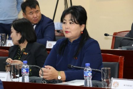 Ц.Одонтунгалаг: Нийтийн тээвэр 150 сая төгрөгийн орлого алдаж байна