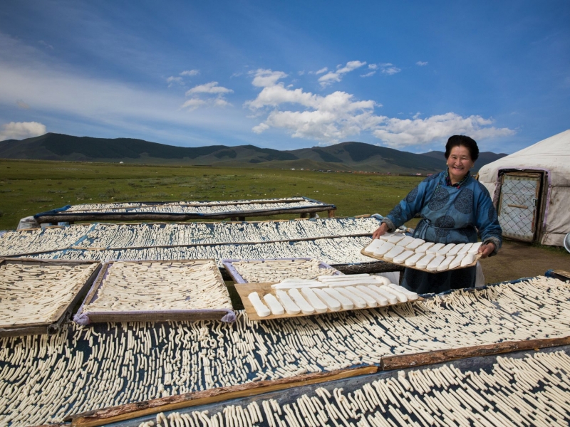 Nomadic Cusines  Experience  