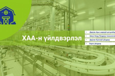 Хөнгөн үйлдвэрлэлийн салбар эдийн засгийн нэг тулгуур болох боломж