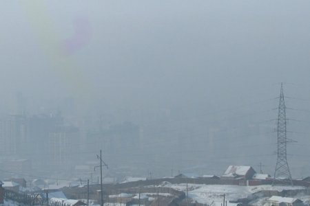 Агаар бохирдуулагч бодисуудын агууламж ихэссэн нь ургийн жин буурахад нөлөөлж байна