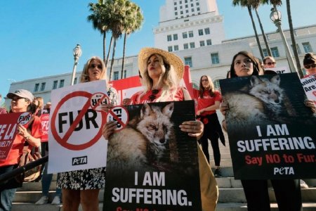 Калифорни үслэг эдлэл худалдаалахыг хориглосон АНУ-ын анхны мужаар тодорлоо