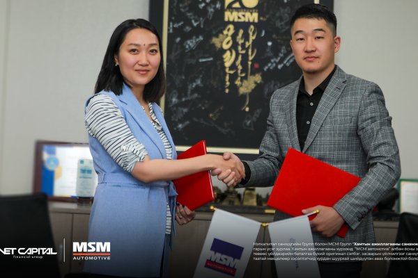 Нэткапитал санхүүгийн Групп болон МСМ Групп 