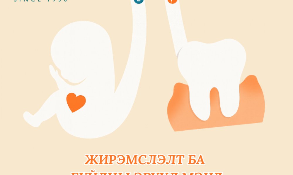 Жирэмслэлт ба буйлны эрүүл мэнд