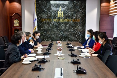 Эрүүл мэндийн сайд Д.Сарангэрэл НҮБ-ын Монгол Улс дахь Суурин төлөөлөгч ноён Тапан Мишраг хүлээн авч уулзлаа