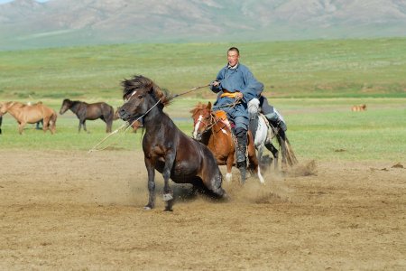 Grosse Mongolei Rundreise