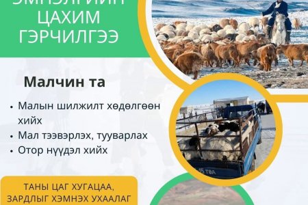Малчин таны үүрэг