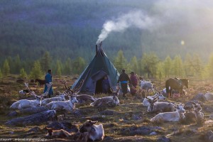 Tsaatan Reindeer & Lake Khuvsgul Journey