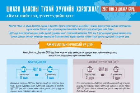 Шилэн дансны тухай хуулийн хэрэгжилт 3-р сард