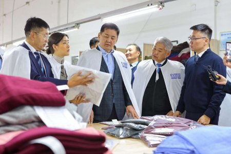 “Цагаан алт” хөтөлбөрийн дүнд самнасан ноолуурын экспорт тав дахин нэмэгдэж, 244 сая ам. долларт хүрлээ