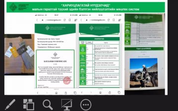Малын гаралтай түүхий эд бүтээгдэхүүний бэлтгэн нийлүүлэлтийн мөшгөх системийн онлайн сургалт зохион байгуулагдлаа.