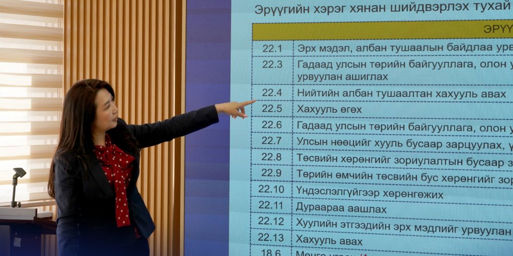 ЭДИЙН ЗАСАГ, ХӨГЖЛИЙН ЯАМ БОЛОН ХӨГЖЛИЙН БАНКНЫ АЛБА ХААГЧДАД 