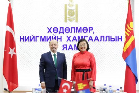 Турк улстай хөдөлмөр эрхлэлтийг нэмэгдүүлэх чиглэлээр хамтран ажиллана