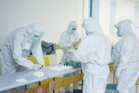 Шууд: Шинээр 486 хүнээс халдвар илэрч, 2 хүн нас барлаа
