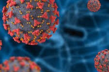 ДЭМБ: Цар тахлын барианы шугам ойртож байгаа ч тайвширч болохгүй