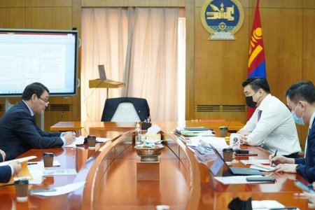 Буянт-Ухаа болон Чингис хаан нисэх буудал, Замын-Үүд, Алтанбулаг боомтод эрсдэлийн үнэлгээ хийж, 5 дугаар сарын 1-нээс хилээ нээх бэлтгэл хангаж байна