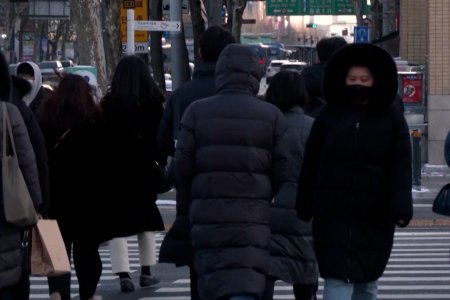 БНСУ-д ажиллаж, амьдарч буй Монгол иргэдийн тоо 51.000-д хүрчээ