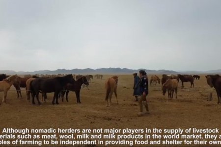  NOMADIC LIVESTOCK HUSBANDRY IN MONGOLIA