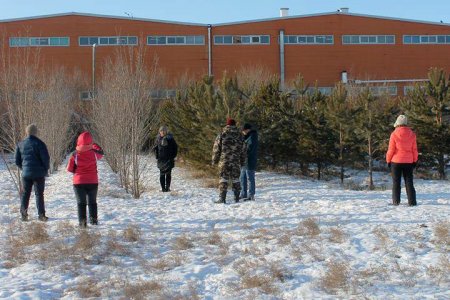 Хотын ногоон байгууламжийг гоёл чимэглэлийн моддоор өргөжүүлнэ