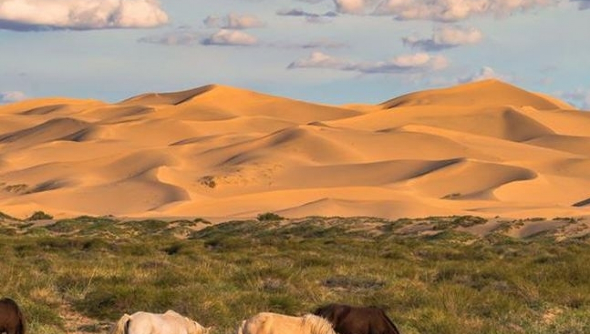 Gobi Desert Adventure /Plan B/ (5 Nights, 6 Days)