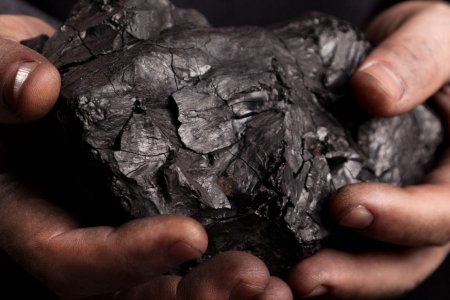 Монгол улс 11 дүгээр сард 3.36 сая тонн нүүрс Хятад руу экспортложээ