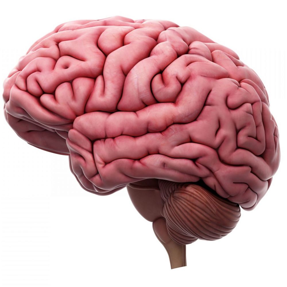 Тархи, толгойн эмгэгийн урьдчилан сэргийлэх багц