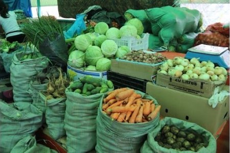 ШИНЭ УРГАЦЫН НОГООНЫ ҮЗЭСГЭЛЭН ХУДАЛДААГ ЗОХИОН БАЙГУУЛЖ БАЙНА