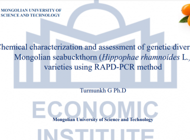 Chemical characterization and assessment of genetic diversity in Mongolian seabuckthorn (Hippophae rhamnoides L.) varieties using RAPD-PCR method