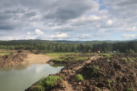 Хууль бусаар алт олборлосон гэх хятад иргэдийг холбогдох байгууллагад нь шилжүүлжээ
