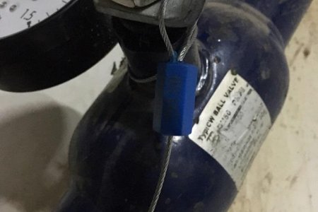  “Женерал таун” хотхоны ус нөөцлөх сангаас халуунд тэсвэртэй гэдэсний бүлгийн савханцар илэрчээ